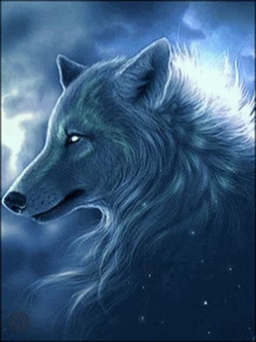 Wolf Pack Of Wolves Wolf Pack Of Wolves Majestic Discover And