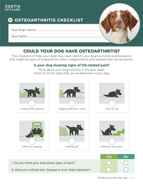Pet Arthritis Checklist Highlands Veterinary Hospital