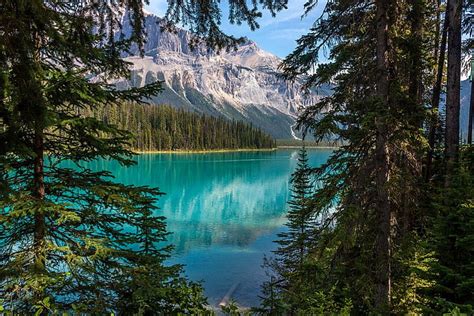 Emerald Lake British Columbia Forest Canada Mountains Turquoise