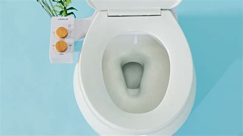 A Bidet Toilet Seat For Less Than 100 Mental Floss