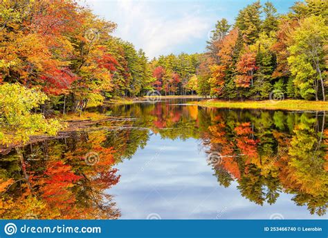 Autumn Tree Reflections In Pond In New England Stock Photo Image Of