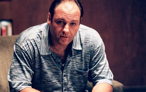 The Sopranos Star Thought Her Tv Had Glitched Out When