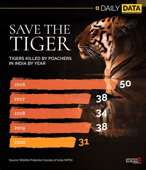 International Tiger Day India Committed To Ensuring Safe Habitats For