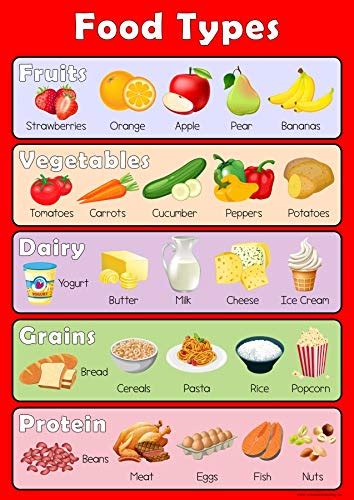 Buy Food Types Childrens Food Groups Learn Wall Chart Educational