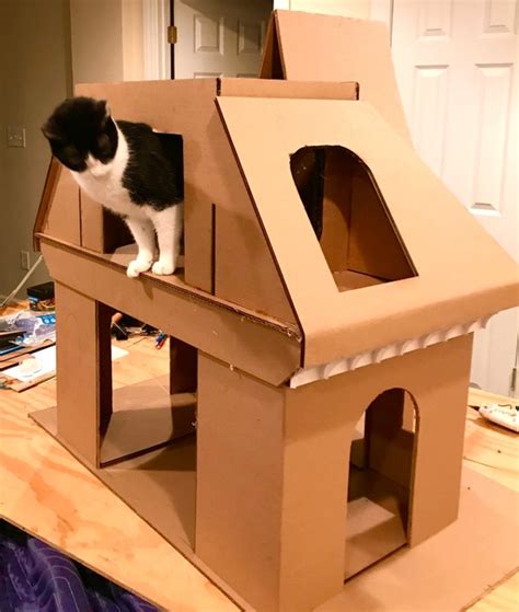 15 Cardboard Cat Fortresses To Inspire Your Next Diy Project