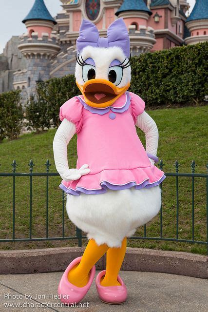 Daisy Duck Run Disney Costumes Disney Daisy Duck