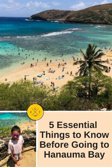 15 Essential Things To Know Before Going To Hanauma Bay Oahu In 2020