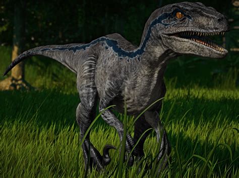 Velociraptor Blue Jurassicworldevo