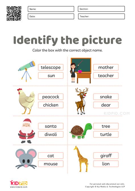 Identifying Objects Words Worksheet Object Identifying Fun Worksheet