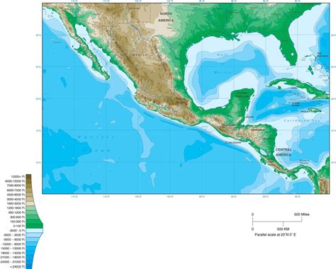 Digital Mexico Contour Map In Adobe Illustrator Vector Format Royalty