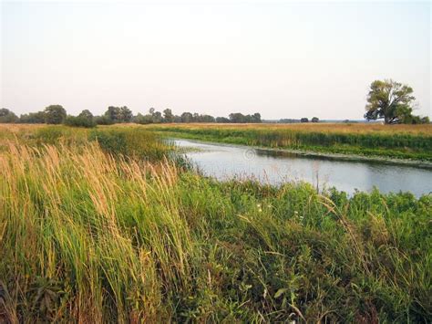 A Small River Flows Through Green Meadows Forest Trees In The