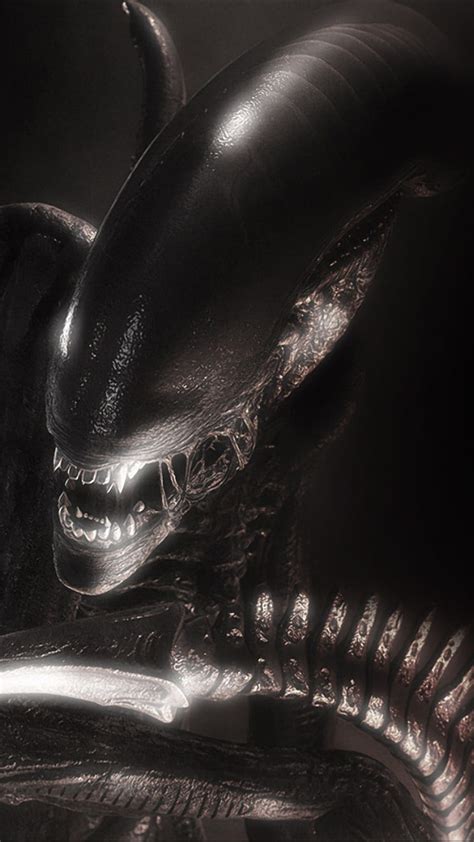 Xenomorph Alien Aliens Horror Predator Hd Phone Wallpaper 800x1422