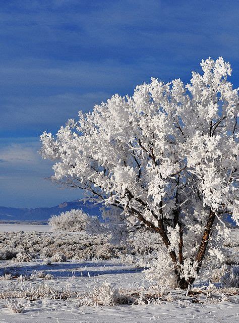 Beautiful Winter Landscape In Casper Wyoming Wyoming Vacation
