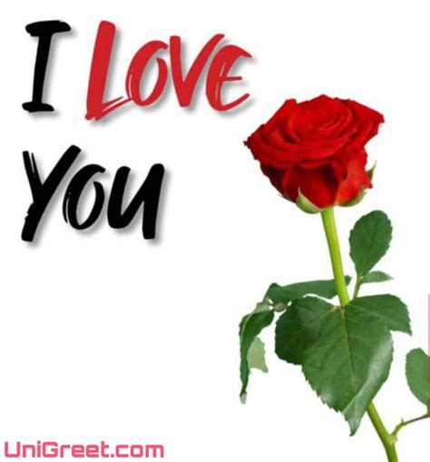 Top 999 Beautiful Love Roses Images Amazing Collection Beautiful