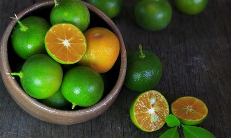 Health Benefits Of Calamansi Do You Know Npv Beverage