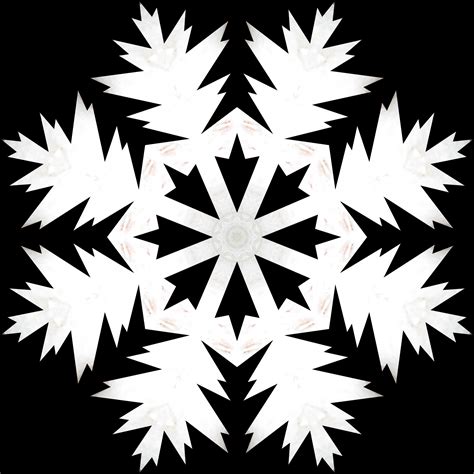 White Snowflake 77 Free Stock Photo Public Domain Pictures