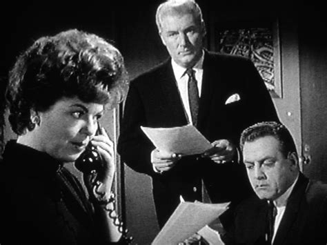 The Case Of The Baffling Bug Perry Mason Tv Series Classic Film