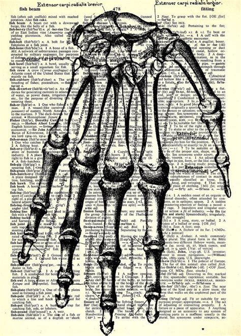 Skeletal Hand Medical Series Paper Ephemera 8x11 Print On Vintage