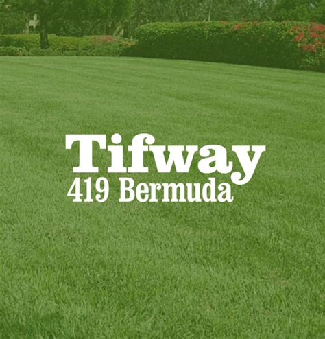 419 Bermuda Green Acres Turf Farm