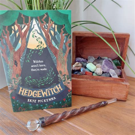 Hedgewitch By Skye Mckenna Busy Busy Learning New Books Book Worms