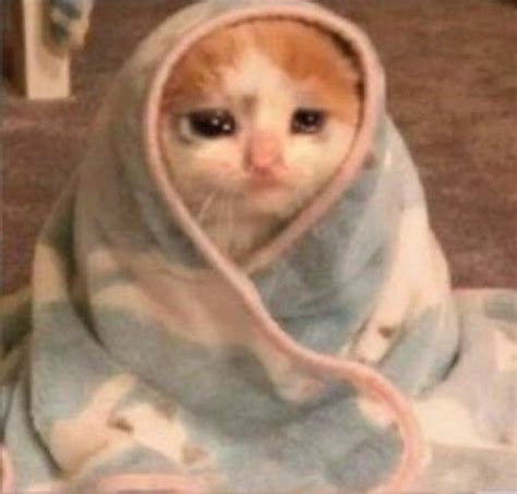 Sad Cat Rkittycult