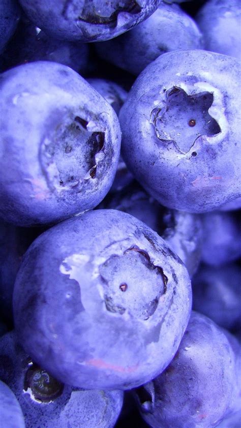 Purple Blueberries Blueberry Close Up Photography Fruit