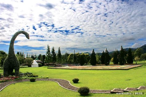 taman bunga nusantara flower garden cipanas west java indonesia indonesia tourism west