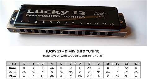 Lucky 13 Harmonica In Diminshed Tuning All 12 Keys With 3 Breath