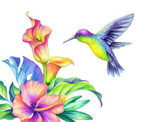 Flying Hummingbird With Tropical Calla Lily Wall Decal Home Etsy