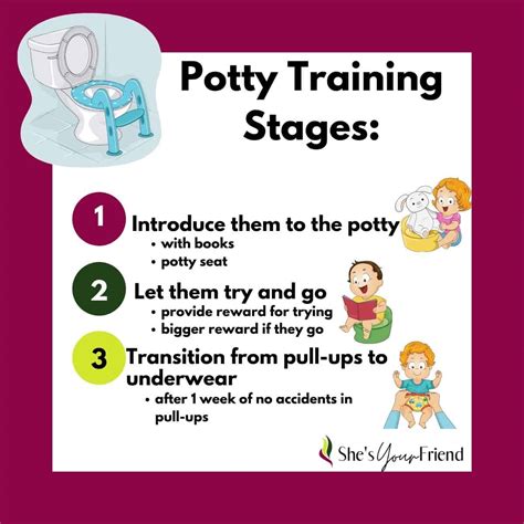 Toddler Potty Training Tips And Stages Shes Your Friend