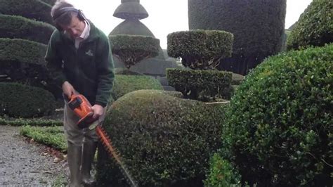 Trimming Topiary Youtube