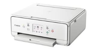 If the utility fails to install, you can download the software from the manufacturer's site. Canon PIXMA TS6151 Drivers Download » IJ Start Canon Scan ...