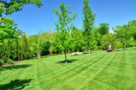 We did not find results for: Free Images : tree, structure, field, meadow, flower ...