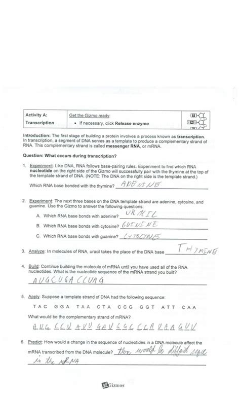 Dna profiling gizmo answer key activity b ≥ comags answer. Student Exploration Building Dna Gizmo Answers Key Pdf / Student Exploration Building Dna Gizmo ...