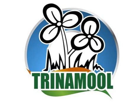 Logo of all india trinamool congress political party. TMC removes Congress's name from its logo - Dynamite News