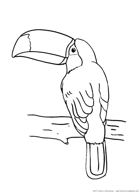 Use this lesson in your classroom, homeschooling curriculum or just as a fun kids activity that you as a parent can do. Toucan Coloring Pages - GetColoringPages.com