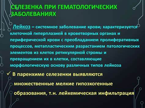 Селезенка Увеличена Причины У Взрослого Диета — Похудение Диета Картинка - Селезенка Увеличена Причины У Взрослого Диета — Похудение Диета