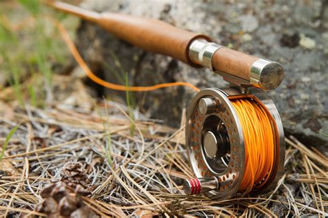 Best Fly Line For Trout 2022 Buyers Guide Into Fly Fishing