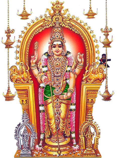 See more ideas about lord murugan, lord murugan wallpapers, durga goddess. Lord Murugan PNG Transparent Lord Murugan.PNG Images ...