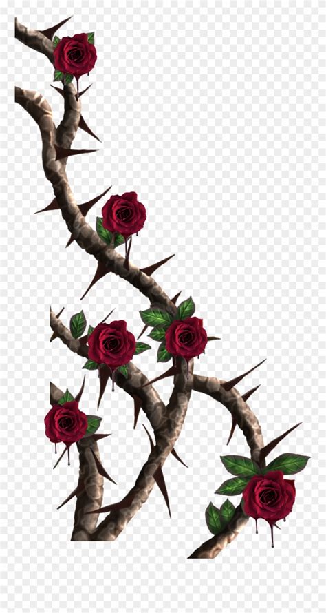 Rose Vine Png Clip Art Library Sexiz Pix