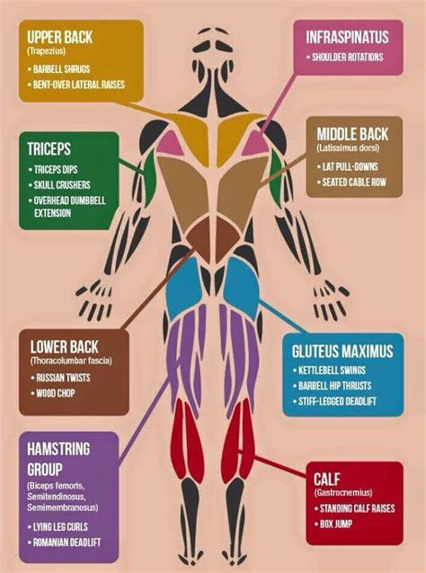 Pin On Workouts And Supplements