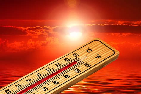 Las Temperaturas Extremas De Frío Y Calor Estuvieron Relacionadas Con 1