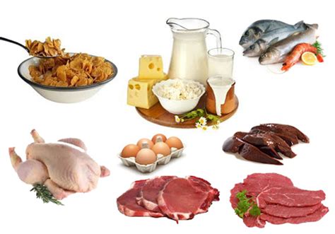 La vitamina b12 generalmente no está presente en los alimentos vegetales. Yakult México » Usos y beneficios de la vitamina B12