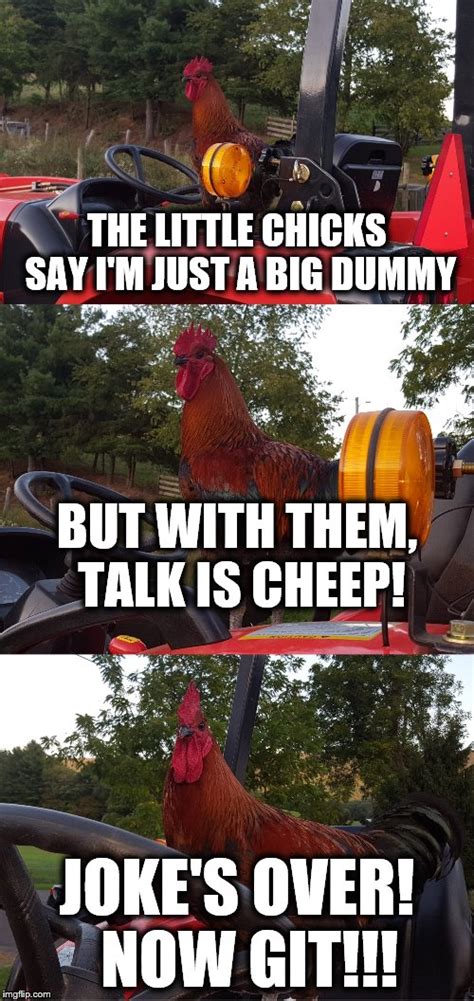 Tractor Rooster Imgflip