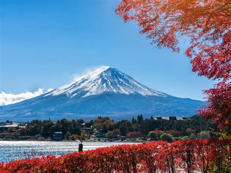 Mount Fuji In Autumn Color Japan Stock Photo Image Of