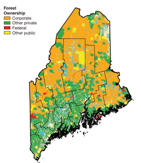 Forests Of Maine Maine An Encyclopedia