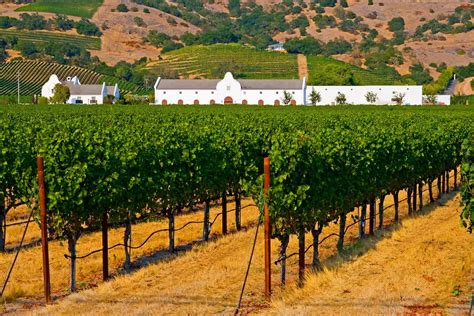 9 Wineries In Napa Stunning Locations Sophisticated Wines