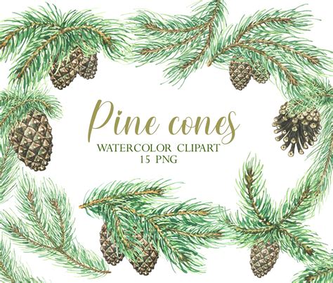 Watercolor Pine Cone Clipart Tree Branch Clipart Christmas Etsy