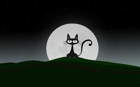 Cartoon Cat Wallpapers Top Free Cartoon Cat Backgrounds Wallpaperaccess