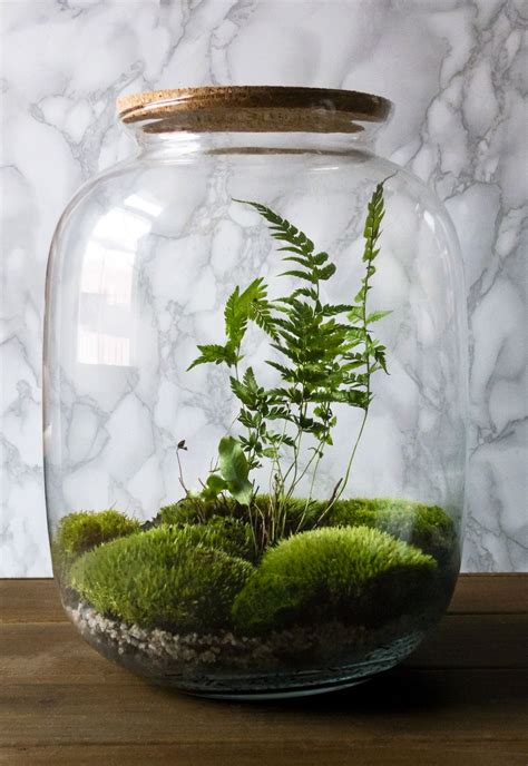 Add Greenery To Your Space With A Homemade Terrarium Closed Terrarium